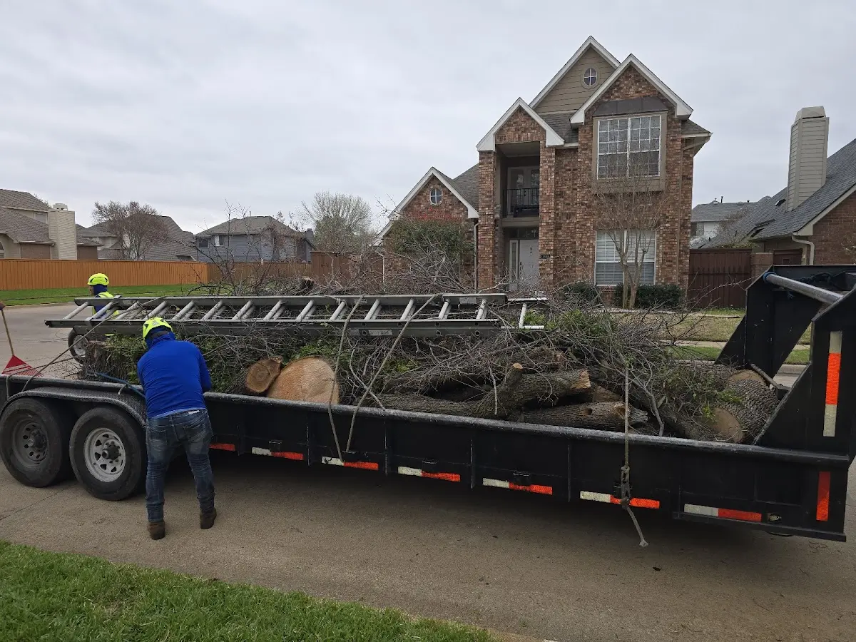 Expert Tree Pest Control with proper safety equipment in Arnett